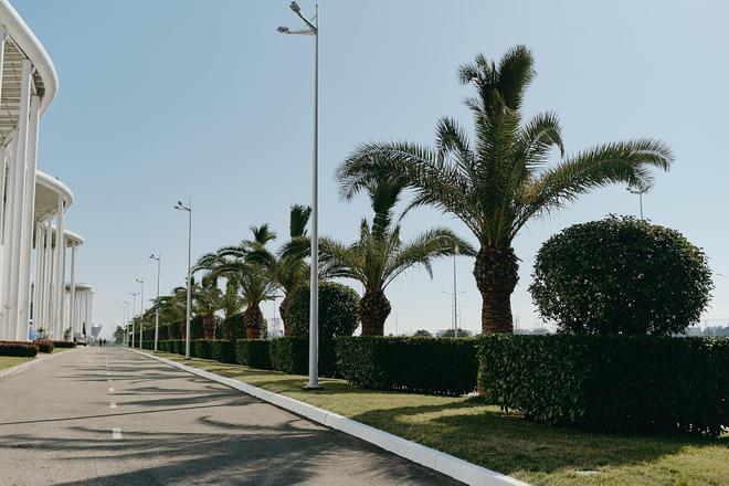 В Сириусе открыли аллею с экзотическими растениями в рамках ВФМ